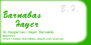 barnabas hayer business card